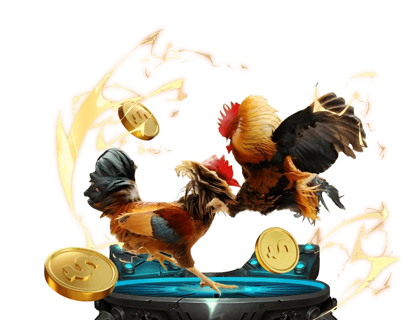 Hoàn trả hàng ngày club 52