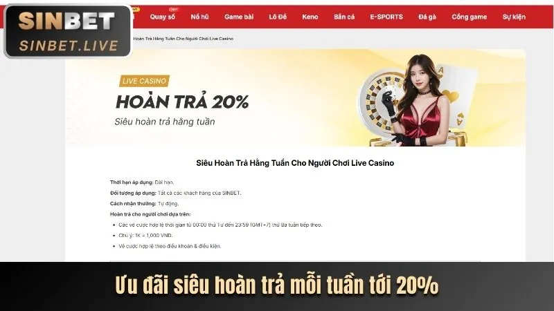 Cải tiến nền tảng